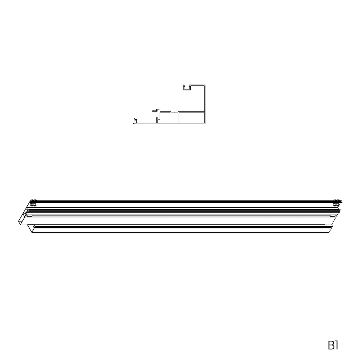 B1